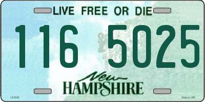 NH license plate 1165025