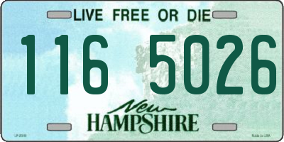 NH license plate 1165026