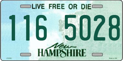 NH license plate 1165028