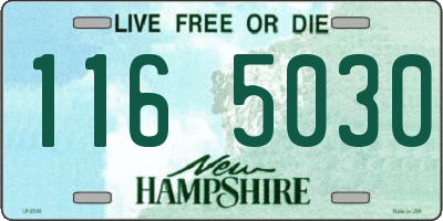 NH license plate 1165030