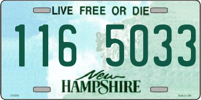 NH license plate 1165033