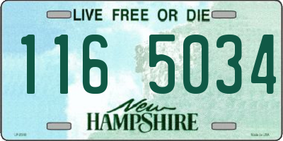 NH license plate 1165034