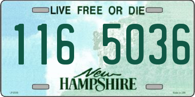 NH license plate 1165036