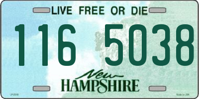 NH license plate 1165038