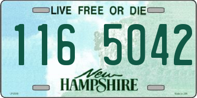NH license plate 1165042