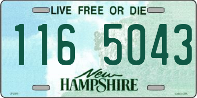 NH license plate 1165043