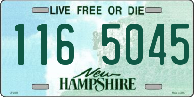 NH license plate 1165045