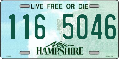 NH license plate 1165046