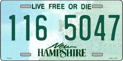 NH license plate 1165047