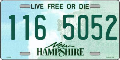 NH license plate 1165052