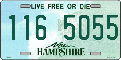 NH license plate 1165055