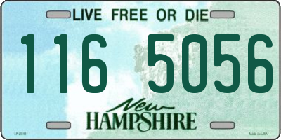 NH license plate 1165056