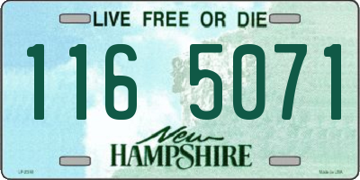 NH license plate 1165071