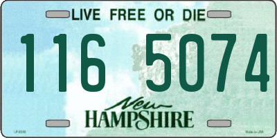 NH license plate 1165074