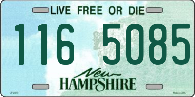 NH license plate 1165085
