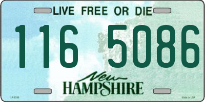 NH license plate 1165086