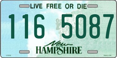 NH license plate 1165087