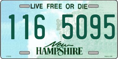 NH license plate 1165095
