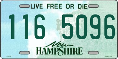 NH license plate 1165096