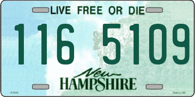 NH license plate 1165109