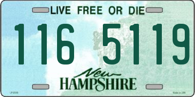 NH license plate 1165119