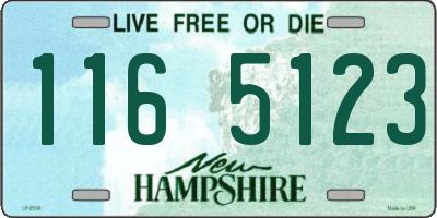 NH license plate 1165123