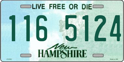 NH license plate 1165124