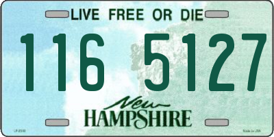NH license plate 1165127