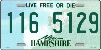 NH license plate 1165129