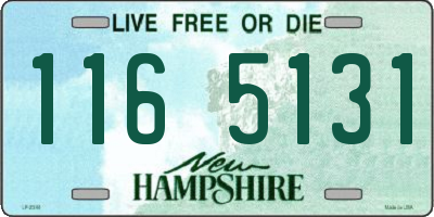 NH license plate 1165131