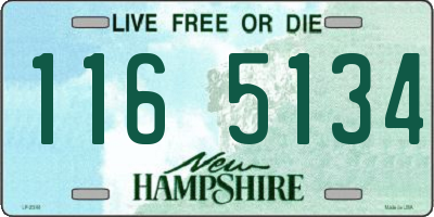 NH license plate 1165134