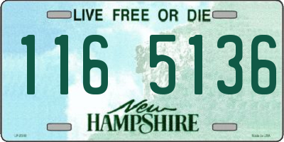 NH license plate 1165136