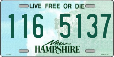 NH license plate 1165137