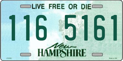 NH license plate 1165161