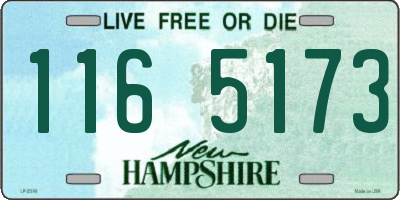 NH license plate 1165173