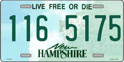 NH license plate 1165175