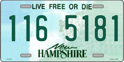 NH license plate 1165181