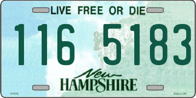 NH license plate 1165183