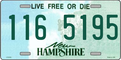 NH license plate 1165195