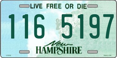 NH license plate 1165197