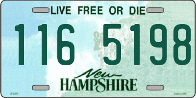 NH license plate 1165198