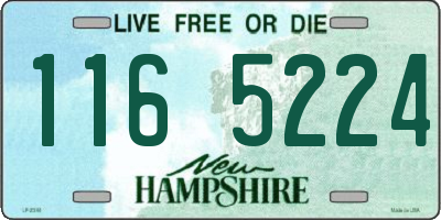 NH license plate 1165224