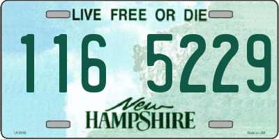 NH license plate 1165229