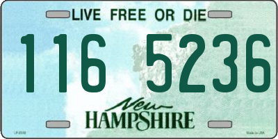NH license plate 1165236