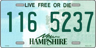 NH license plate 1165237