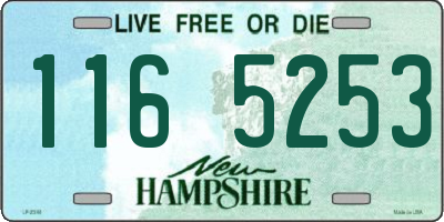 NH license plate 1165253