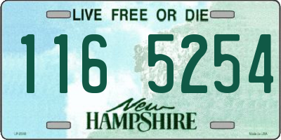 NH license plate 1165254