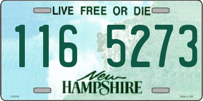 NH license plate 1165273