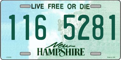 NH license plate 1165281