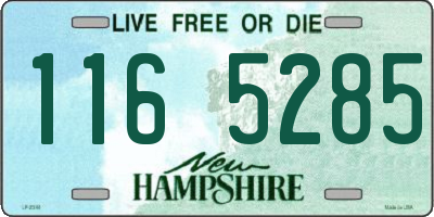 NH license plate 1165285